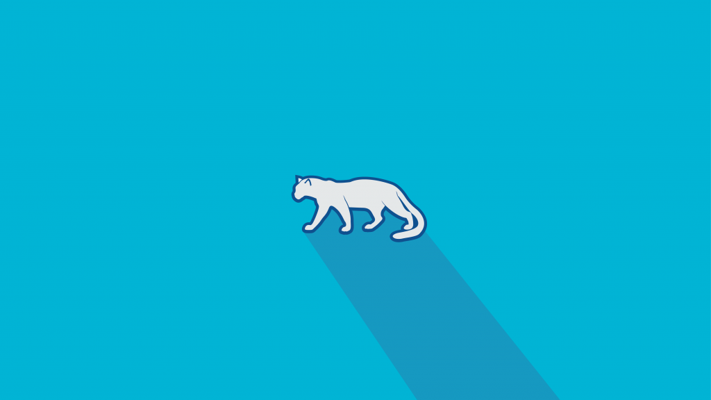 [Resim: Pardus-cyan-1024x576.png]